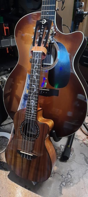 Luna Vineyard Koa Concert Uke.jpg