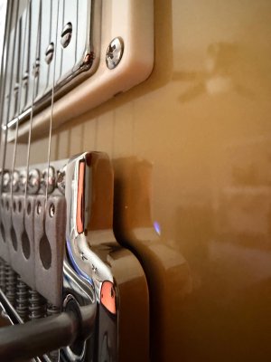 IMG_4551.jpeg IMG_4551.jpeg