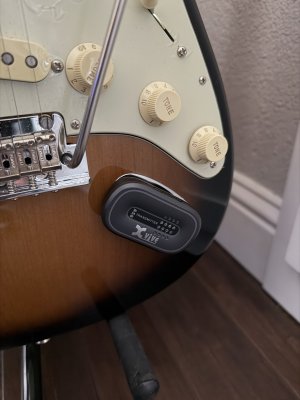 IMG_5333.jpeg IMG_5333.jpeg