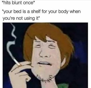 shaggy.jpg