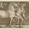 bucephalus