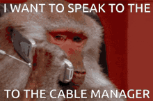 speak-to-the-manager-cable-management.gif