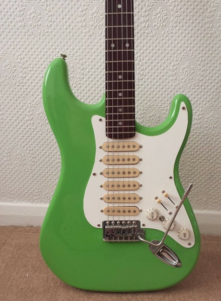 6-pickups-stratocaster-754x1024.jpg