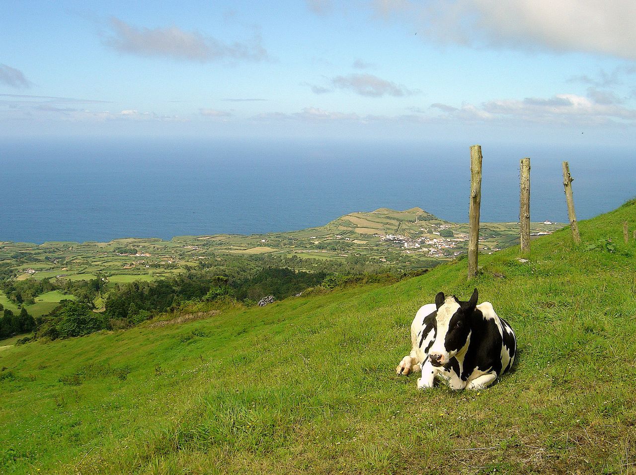 Ginetes_visto_do_alto_da_Caldeira_das_Sete_Cidades_%28Portugal%29.jpg