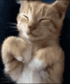 c7e670055d826e29da9064cc4161a7f2.gif