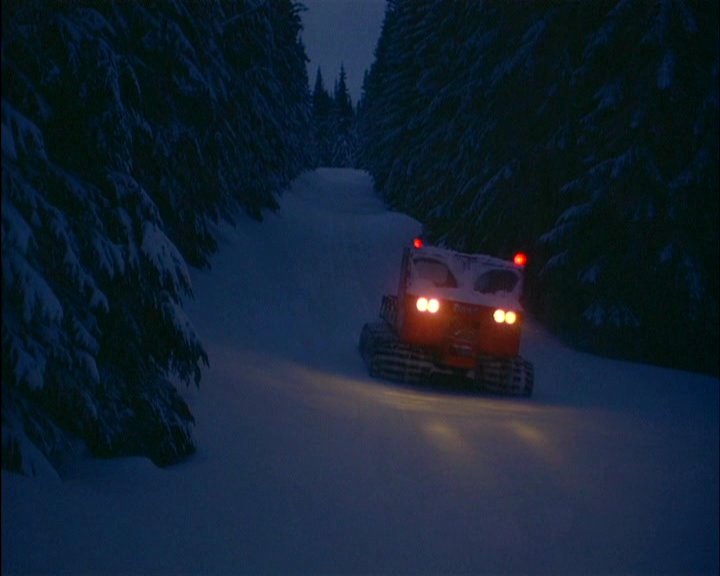 shiningsnowcat22aq4.5844.jpg