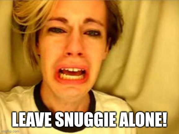 7oft5e.jpg