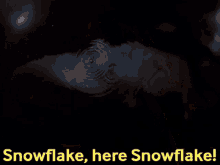 snowflake-bait.gif