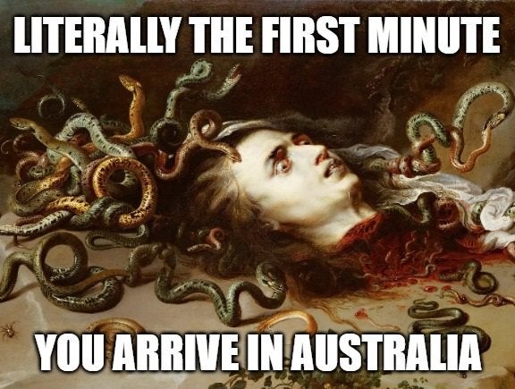 22e.jpg