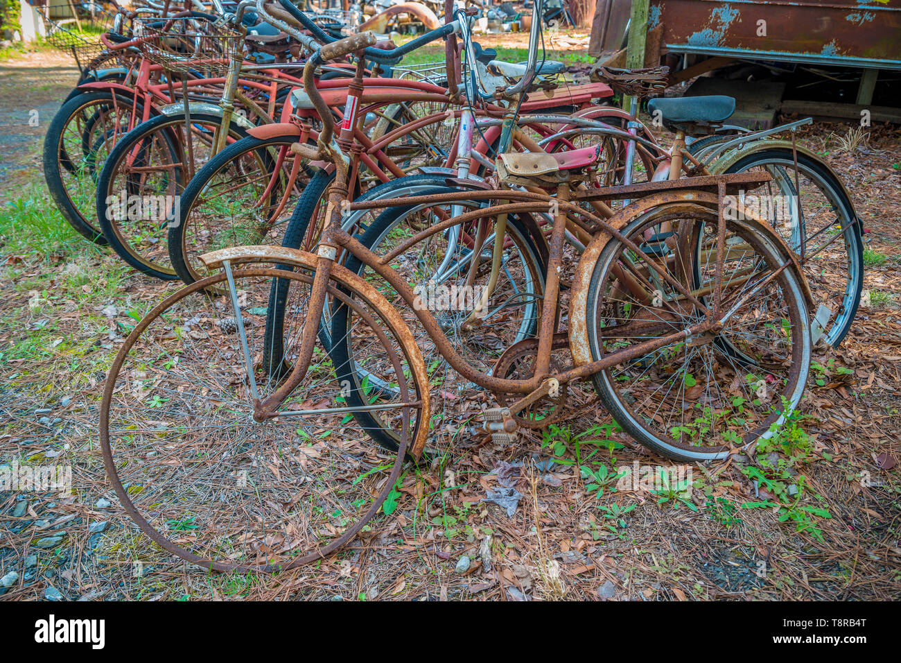 old-rusty-bicycles-piled-together-in-a-group-decaying-away-bicycle-patina-vintage-bikes-T8RB4T.jpg