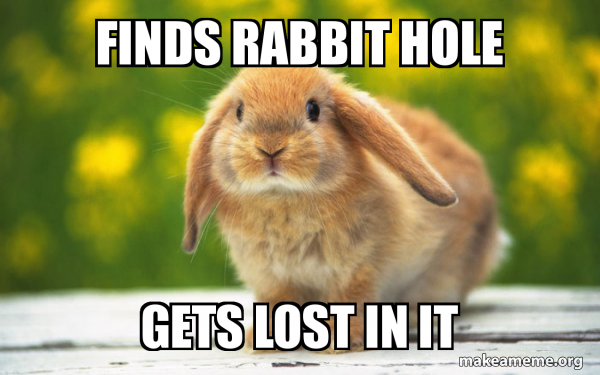 finds-rabbit-hole.jpg