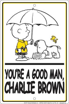 6e4bc7f0495958aa14f356df9b89b93e--the-peanuts-snoopy-peanuts.jpg