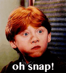 ron-ohsnap.gif