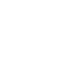 store.ormsbyguitars.com