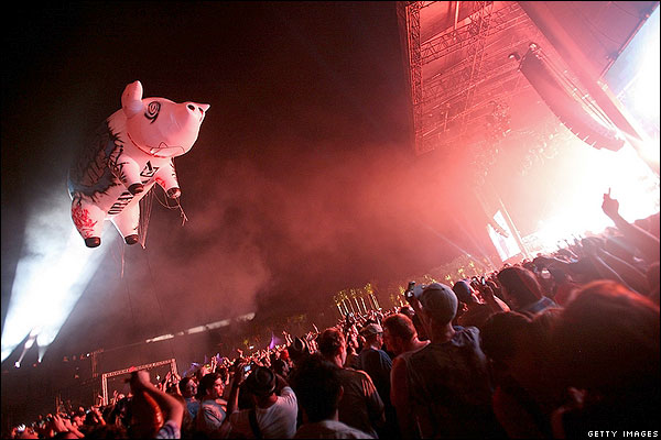 floydpig-jpg.114085