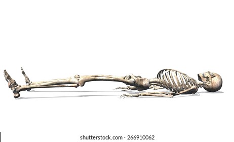 skeleton-lying-separated-on-white-260nw-266910062.jpg
