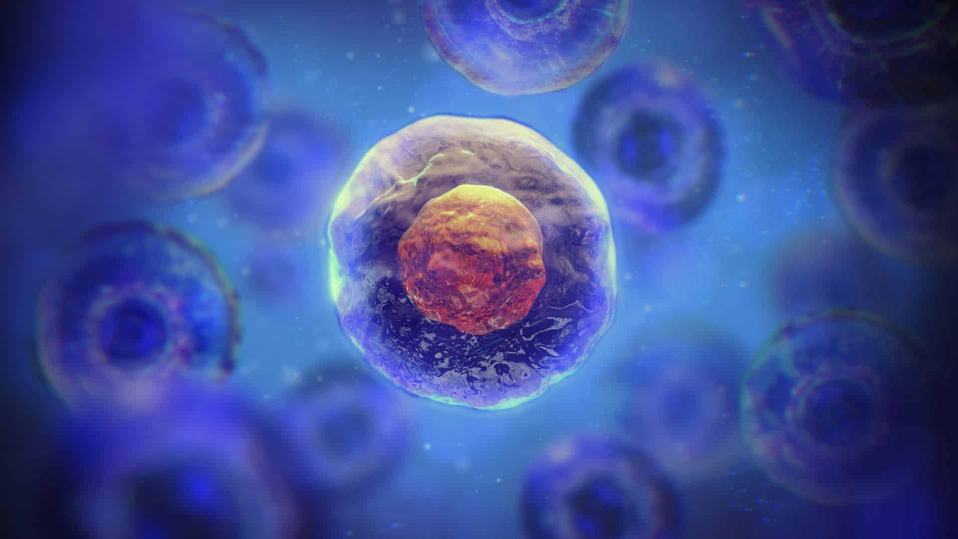 cell-nucleus.jpg